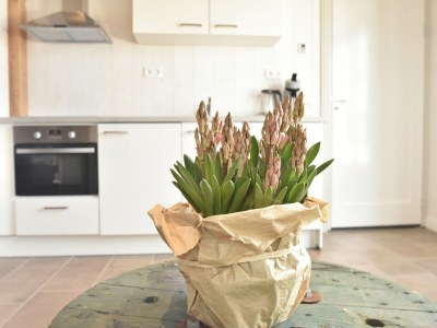 Holiday house Holiday Home near Groote Keeten Beach - Outdoor photo 39