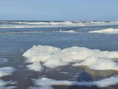 Apartment Wohnung in Nordholland am Strand - Environment photo 18