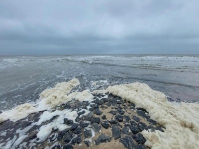 Apartment Wohnung in Nordholland am Strand - Environment photo 20