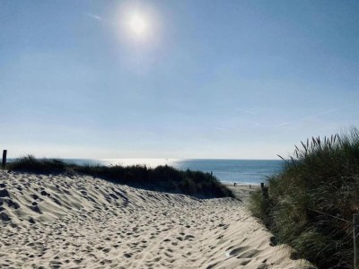 Apartment Wohnung in Nordholland am Strand - Environment photo 26