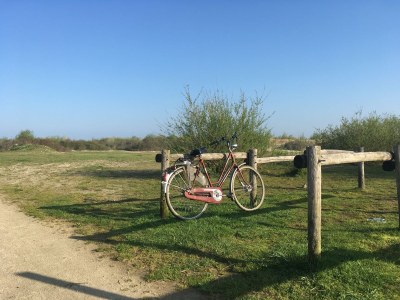Holiday house Familie Kuckelkorn - Environment photo 19