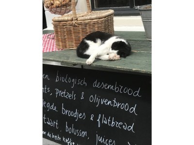 Holiday house Familie Kuckelkorn - Environment photo 23