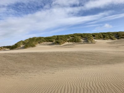 Holiday house Familie Kuckelkorn - Environment photo 25