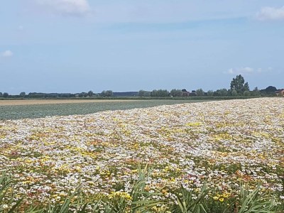 Holiday house Familie Kuckelkorn - Document photo 30