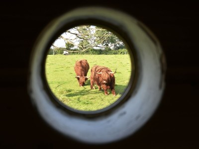 Holiday apartment Ankerplatz holiday apartment, Landhaus-Nordangeln in Hürup OT Rüllschau - Holiday apartment