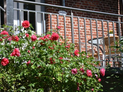 Holiday apartment Ankerplatz holiday apartment, Landhaus-Nordangeln - Outdoor photo 2