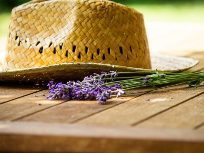 Holiday apartment On the Buchbühl - Outdoor photo 4