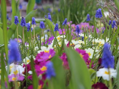 Holiday apartment On the Buchbühl - Outdoor photo 9