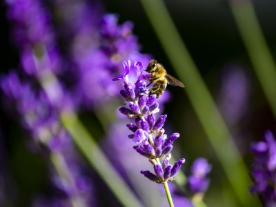 Holiday apartment On the Buchbühl - Outdoor photo 10