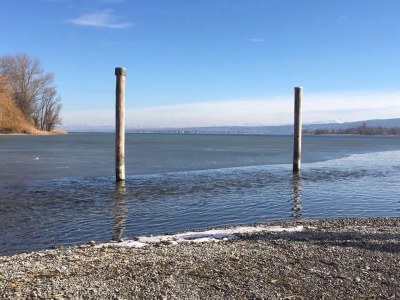 Holiday apartment On the Buchbühl - Environment photo 28