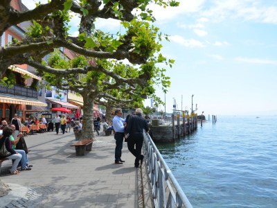 Holiday apartment On the Buchbühl - Environment photo 29