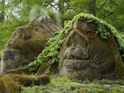 Holiday apartment On the Buchbühl - Environment photo 32