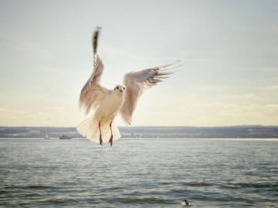 Holiday apartment On the Buchbühl - Environment photo 38