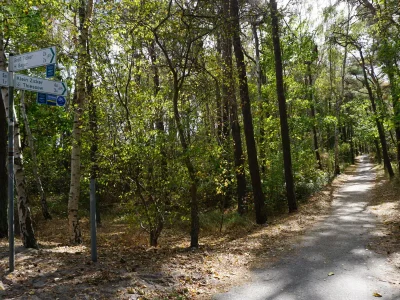 Holiday house Finnhütte - Environment photo 21