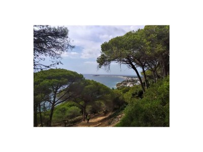 Holiday house - No title - - Environment photo 32