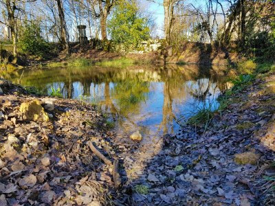Farmhouse Bauernhaus in Saint-Cernin mit Pool - Outdoor photo 37