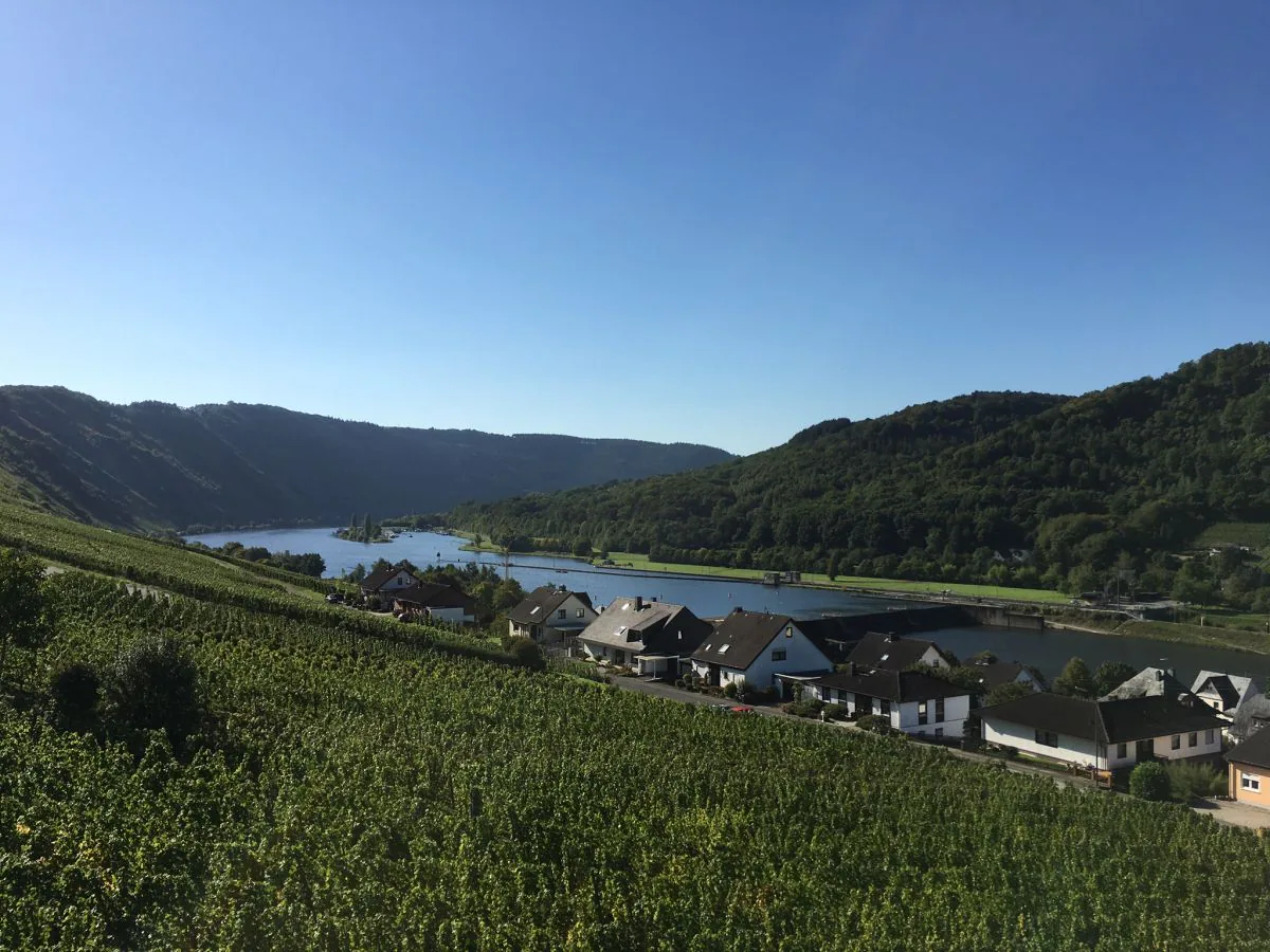 Holiday apartment SonnenHof - Outdoor photo 3