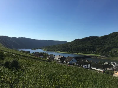 Holiday apartment SonnenHof - Outdoor photo 3