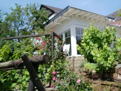 Holiday apartment SonnenHof - Outdoor photo 4