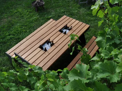 Holiday apartment SonnenHof - Environment photo 16