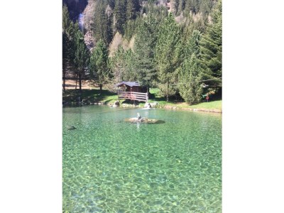 Holiday house Glacier Chalet by the Pond in Flattach - Holiday house