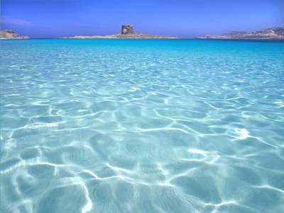 Villa La Maison du Monde - Environment photo 29