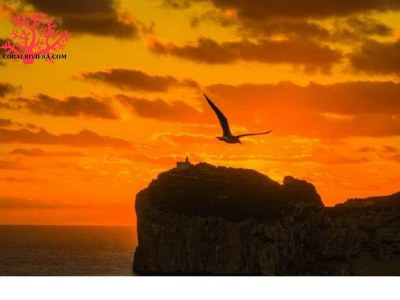 Villa La Maison du Monde - Environment photo 31