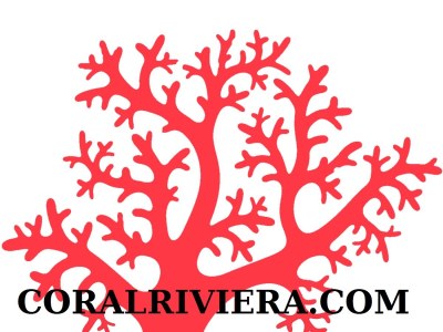 Villa La Maison du Monde - Document photo 42