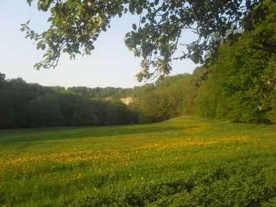 Holiday apartment Müllerstube in der Weidenhäuser Mühle - Environment photo 22