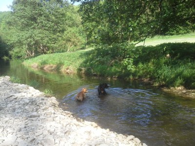 Holiday apartment Müllerstube in der Weidenhäuser Mühle - Environment photo 23