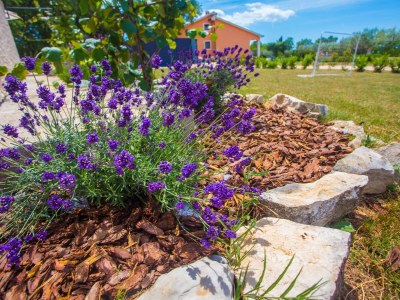 Holiday house Tana - Environment photo 23