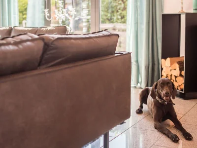 Chalet Fine-Suite - Features photo 17