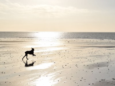 Holiday house Lakeside - Environment photo 16