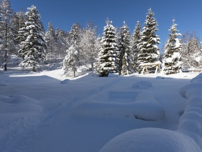 Holiday apartment 2-room apartment WALDE in the House Wildsee - Outdoor photo 3