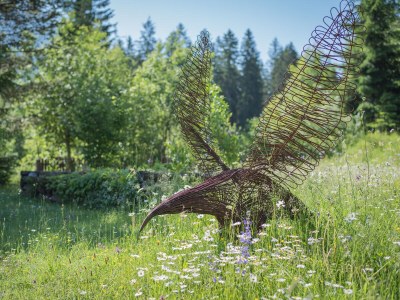 Holiday apartment 2-room apartment WALDE in the House Wildsee - Outdoor photo 8
