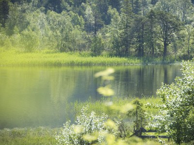 Holiday apartment 2-room apartment WALDE in the House Wildsee - Outdoor photo 10