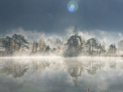 Holiday apartment 2-room apartment WALDE in the House Wildsee - Outdoor photo 13