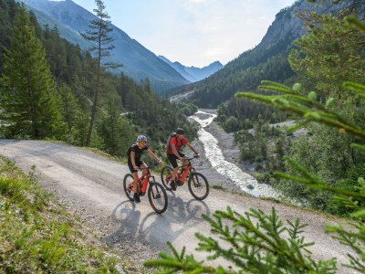 Holiday apartment 2-room apartment WALDE in the House Wildsee - Environment photo 27