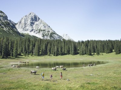 Holiday apartment 2-room apartment WALDE in the House Wildsee - Environment photo 30