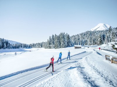 Holiday apartment 2-room apartment WALDE in the House Wildsee - Environment photo 33