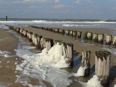 Chalet Sunshine - Environment photo 16