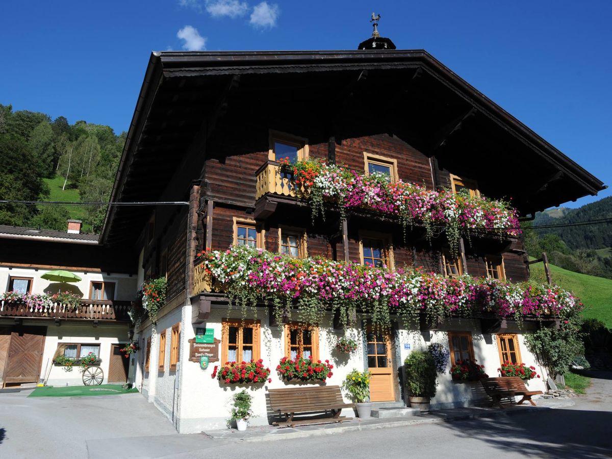 Holiday apartment Bio Bauernhof TORBAUER - Outdoor photo 2