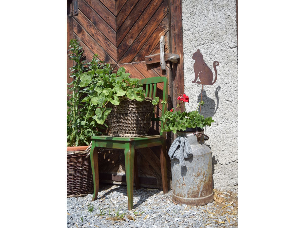 Holiday apartment Bio Bauernhof TORBAUER - Outdoor photo 4