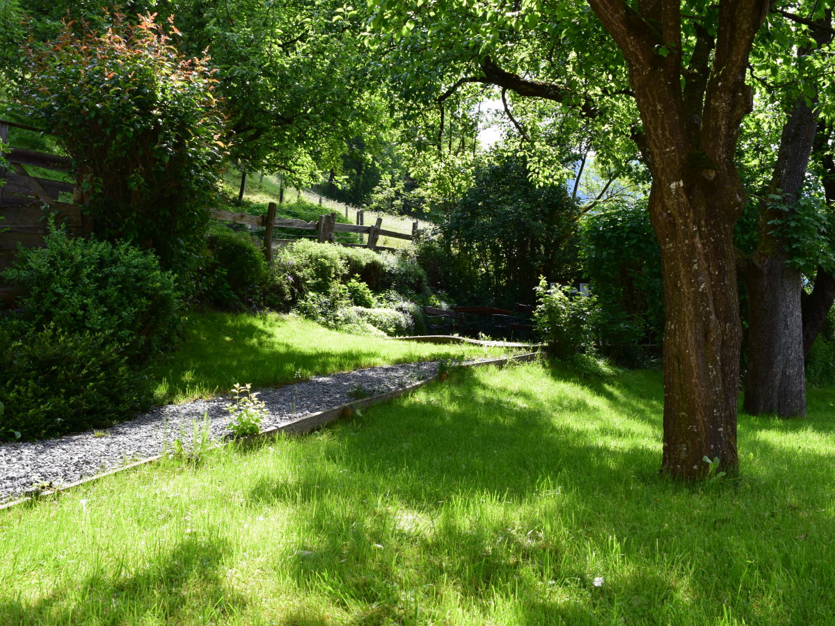 Holiday apartment Bio Bauernhof TORBAUER - Outdoor photo 5