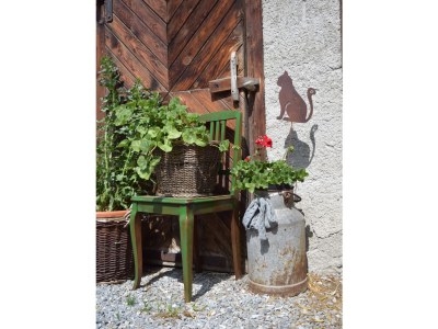 Holiday apartment Bio Bauernhof TORBAUER - Outdoor photo 4