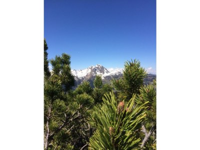 Holiday apartment Bio Bauernhof TORBAUER - Environment photo 14