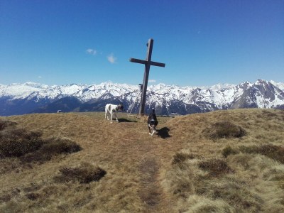 Holiday apartment Bio Bauernhof TORBAUER - Environment photo 17
