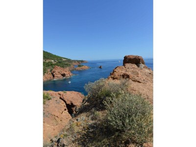 Villa Clos Notre Dame (10p) with pool at French Riviera - Environment photo 63