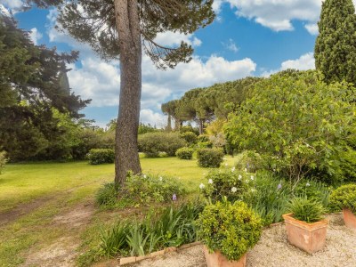 Holiday house Mas des Oiseaux - Environment photo 45