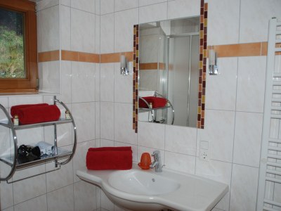 Holiday apartment in Leogang - Features photo 10